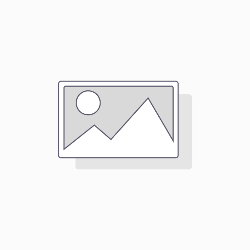 Landingpage / One-Pager Professional
